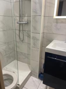 a bathroom with a shower with a toilet and a sink at La petite Marseillaise in Marseille