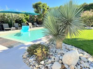 Piscina de la sau aproape de Villa Balāo - Guesthouse Men Only - LGBT