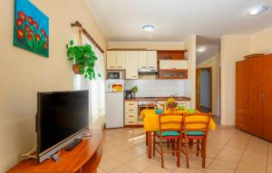 a kitchen and dining room with a table and a television at Apartman Ana by Villas Guide in Ika
