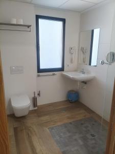 a bathroom with a toilet and a sink and a window at Hostal los Rosales in Almázcara