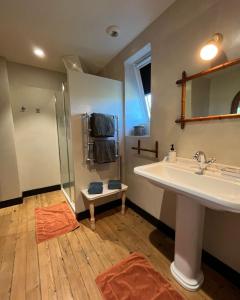 ロルモンにあるchalet baronの洗面台とシャワー付きのバスルーム +19枚の写真