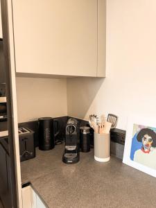 Η κουζίνα ή μικρή κουζίνα στο Luxury Apartments near Brighton Pier +2 φωτογραφίες