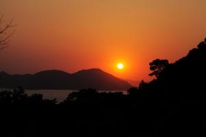 a sunset over the water with a tree in the foreground at KiDRAK OTEL MONTENEGRO-1 in Faralya