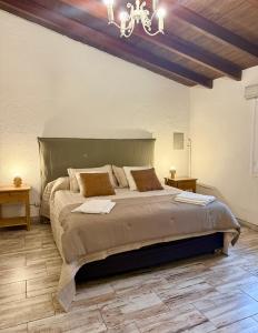 una camera da letto con un letto grande e un lampadario di Casa completa en el corazón de chacras a Ciudad Lujan de Cuyo Altre 10 foto