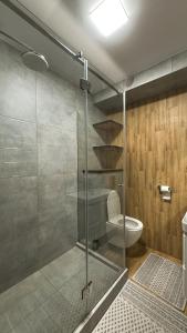 a bathroom with a glass shower and a toilet at Hostel Olevsk in Olevsk