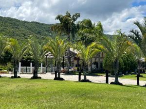 Příroda nedaleko hotelu