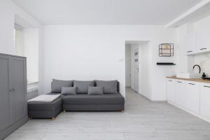 ホジュフにあるBright Studio Chorzów for 4 Guests 1,6km Silesian Stadium by Noclegi Rentersのソファとキッチンのあるリビングルーム