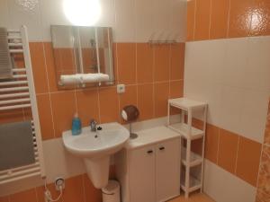 a bathroom with a sink and a mirror at Serenity Lipno in Lipno nad Vltavou