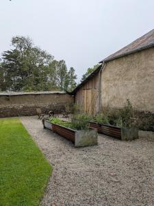 zwei Pflanzer mit Pflanzen neben einem Gebäude in der Unterkunft The Roundhouse, beautiful barn in North Cornwall in North Petherwin