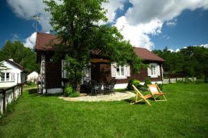 a house with a tree and chairs in the yard at Podlaski Zakątek in Bereżyszcze