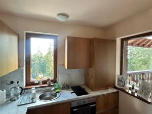 Η κουζίνα ή μικρή κουζίνα στο Апартаменты Гранд Ризорт с камином и видом на лес