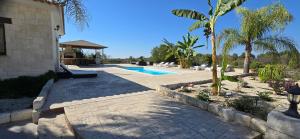 a backyard with a swimming pool and a palm tree at Lasa Valley Villa in Lasa