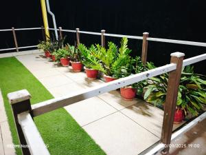 a row of potted plants on a balcony at Diyara's Inn in Madikeri