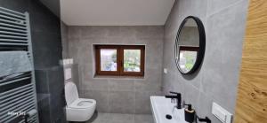 a bathroom with a toilet and a sink and a mirror at Villa Roko in Ličko Lešće +30 photos