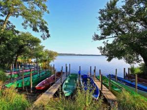 a group of boats parked next to the water at La poterie in Castets +7 photos