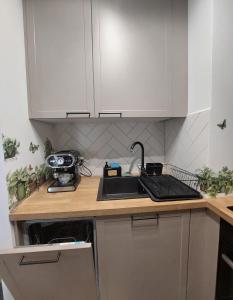Η κουζίνα ή μικρή κουζίνα στο Życzliwy Apartament z garażem