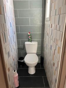 a small bathroom with a white toilet in a stall at Appartement meublé tout équipé - Mesnard-La-Barotière in Mesnard-la-Barotière