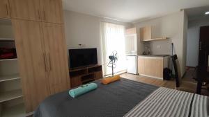 TV a/nebo společenská místnost v ubytování Elegante monoambiente