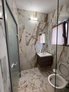 a bathroom with a shower and a toilet and a sink at Lili's in Anina