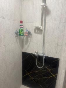 Una ducha con una botella de enjuague bucal en un baño. en Mostar Dream, en Mostar 20 fotos más