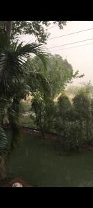 Φυσικό τοπίο κοντά σε αυτή η βίλα