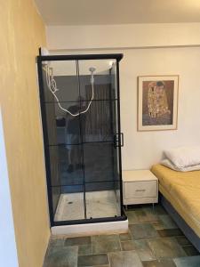 a man standing in a glass shower in a bedroom at יחידות ספיר in Ani'am