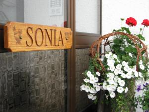 Fotografie z fotogalerie ubytování Appartements Pension Sonia v destinaci Funes