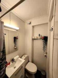 a small bathroom with a toilet and a sink at Dali City Senter Ap 2 in Stavanger