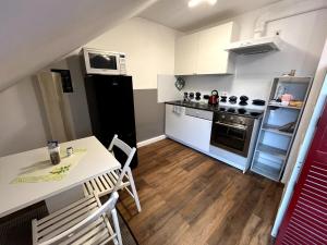 a small kitchen with a table and a refrigerator at Gemütliches Apartment Würzburg-Heidingsfeld in Würzburg