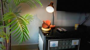 a kitchen with a plant and a lamp next to a stove at IPOH The Majestic Ipoh Town View Fully Air-Con Homestay in Ipoh