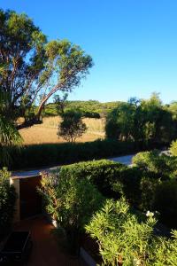 耶尔Maison Les Lauriers Roses vue sur le maquis de Porquerolles的享有树木和灌木花园的景色