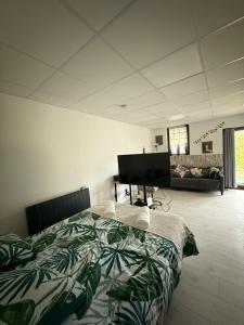 a bedroom with a bed and a flat screen tv at Peaceful apartment in Vierzon