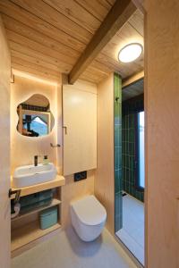 a bathroom with a toilet and a sink and a shower at NestOff in Romhány
