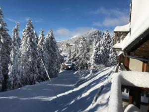 uma montanha coberta de neve com árvores e uma cabana em Rocher du Cerf skis aux pieds 3 ch 2 sdb em Le Lioran