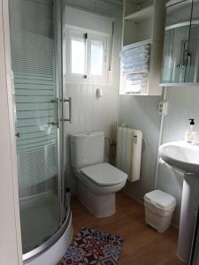 a bathroom with a shower and a toilet and a sink at Acogedora casa de invitados in Hinojos