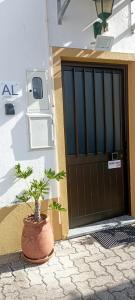 Eine Pflanze in einem Topf vor einer Tür in der Unterkunft As Irmãs in Reguengos de Monsaraz