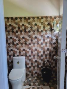 a bathroom with a toilet and a tiled wall at Siargao Villaflor Residence in Dapa