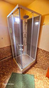 a shower with a glass door in a bathroom at Apartment Exotica in Flic-en-Flac