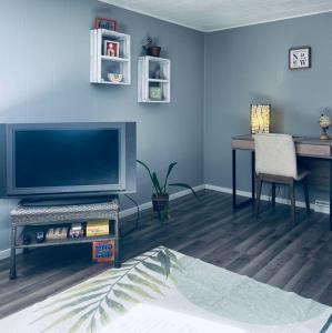 a living room with a flat screen tv and a desk at 1 BR Cozy Apartment with Fire Pit Short walk to town in Nappanee