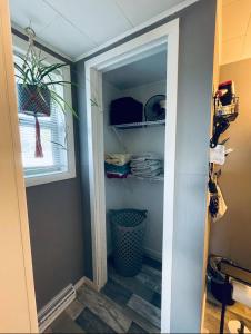 a walk in closet with a door open and a window at 1 BR Cozy Apartment with Fire Pit Short walk to town in Nappanee