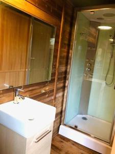 a bathroom with a sink and a glass shower at Refuge de Campagne Le Chalet in Chaix +9 photos