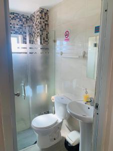 a bathroom with a toilet and a sink and a shower at Plataview Apartahotel apt 4C in Monte Plata