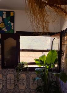 a window in a room with a plant in front of it at Wild Surf Morocco in Agadir +1 photo