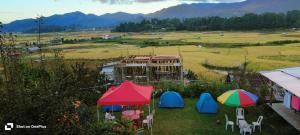 ZiroにあるArara Group Stayの野原にパラソルと椅子が置かれた庭園