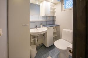 een badkamer met een wit toilet en een wastafel bij Ski Center Alpine Houses A5 in Levi +19 foto's