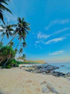 タンガラにあるAP Pearl Palace -Tangalleのヤシの木と海のあるビーチ