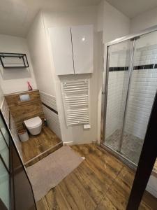 Un pequeño baño con inodoro y ducha. en A l'angle du vieux marché, en Niort 3 fotos más