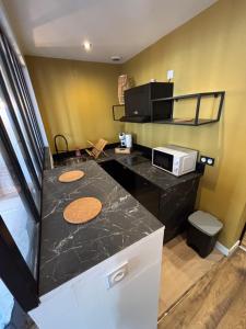 una cocina con encimera y microondas en A l'angle du vieux marché, en Niort