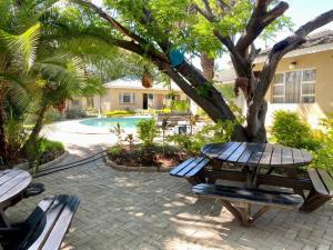 a patio with benches and a tree and a pool at Poolside Executive Suite near Airport - 2322 in Harare