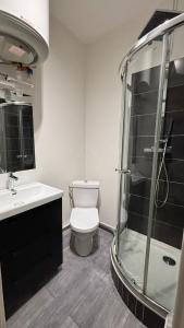 a bathroom with a toilet and a glass shower at Appartement proche des transports in Villeurbanne +3 photos